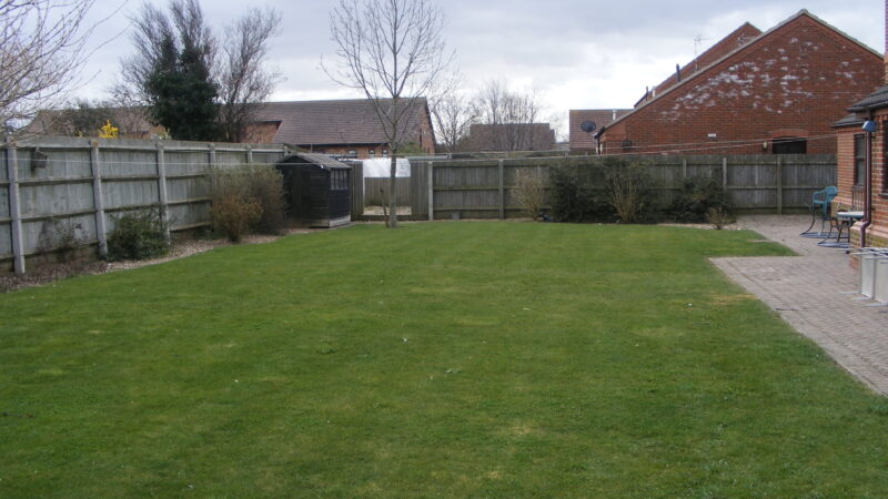 Beech Lodge garden