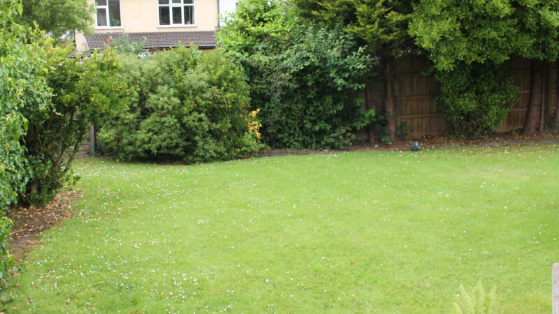 St Andrews Garden